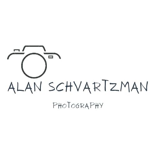 אלן שוורצמן